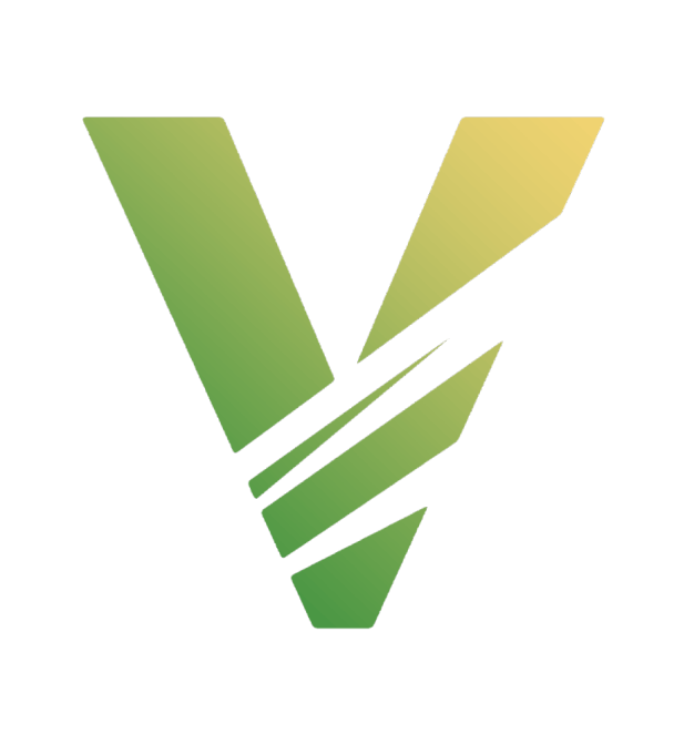 Vex Store Logo